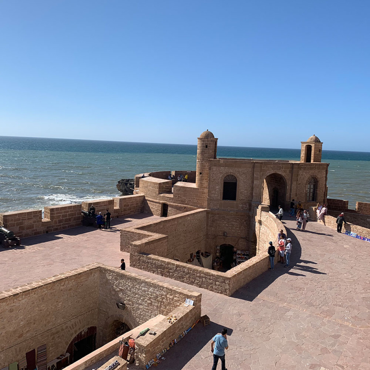 Bezoek de locals van Essaouira